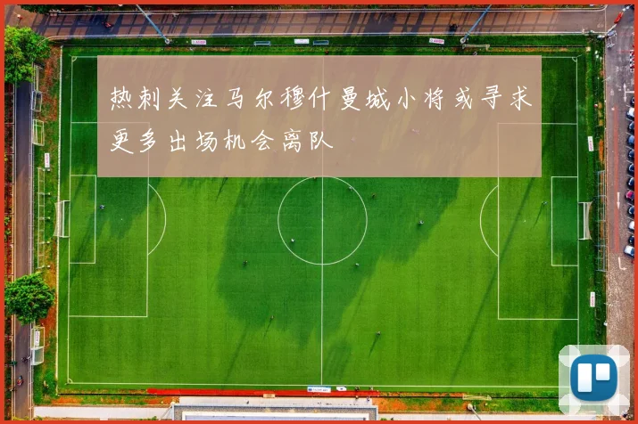 热刺关注马尔穆什曼城小将或寻求更多出场机会离队