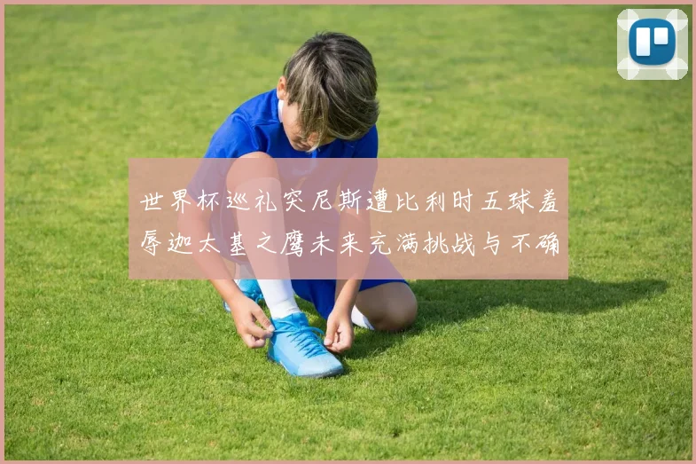 世界杯巡礼突尼斯遭比利时五球羞辱迦太基之鹰未来充满挑战与不确定性